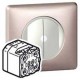 Interrupteur double émetteur-récepteur CPL/IR Céliane -In One- toutes charges - 2x1000W 