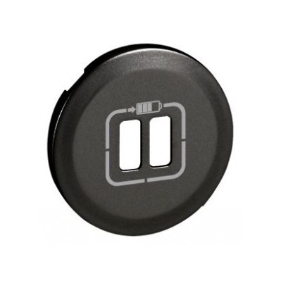 Enjoliveur - Prise double pour chargeur USB - Graphite 